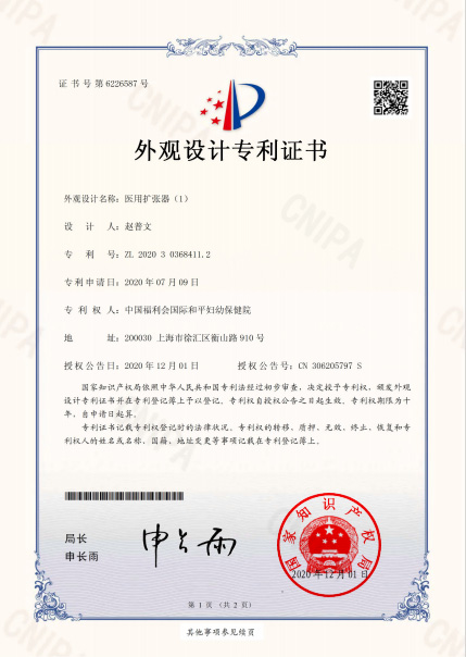 专利2